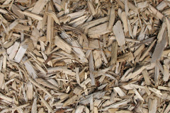 biomass boilers Lees
